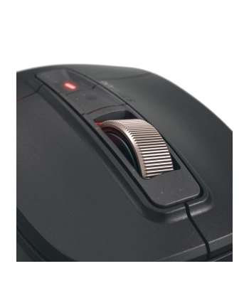 Cherry Stream (JW85702)
