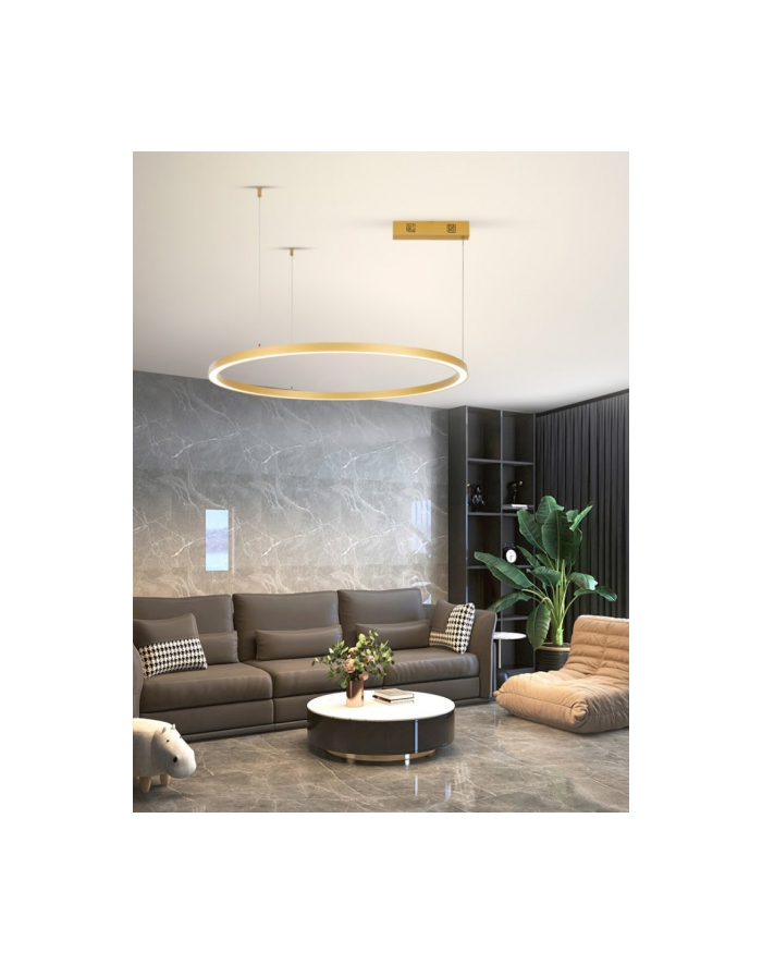 Immax Oprawa Zwieszana Neo Fino New Smart Zigbee 3.0 Tuya 1 Kruh (1678051) główny