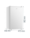 gorenje Zamrażarka F39EPW4 - nr 2