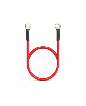 qoltec Przewód akumulatorowy z końcówkami konektorowymi M8 | Kabel z     oczkiem 8mm | 60cm | Czerwony nr 1