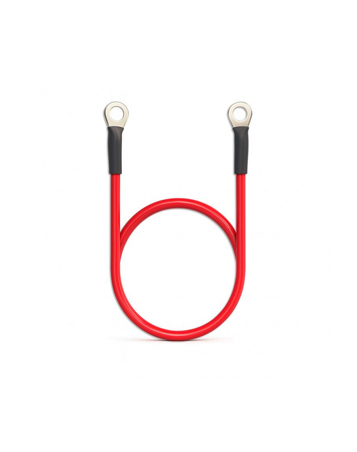 qoltec Przewód akumulatorowy z końcówkami konektorowymi M8 | Kabel z     oczkiem 8mm | 60cm | Czerwony główny