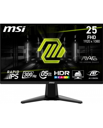 msi Monitor MAG 255XF 24.5 cala/LED/FHD/Flat/300Hz/Black