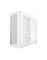 Obudowa Arctic Xtender VG ARGB biała (ACPCC00017A) - nr 3