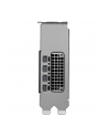 Pny Quadro RTX PRO 2000 Blackwell 16GB GDDR6 4xmDP (VCNRTXPRO2000SB) - nr 8
