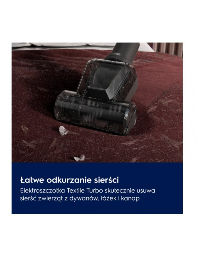 electrolux Odkurzacz bezworkowy linia 500       EL51A2UG główny