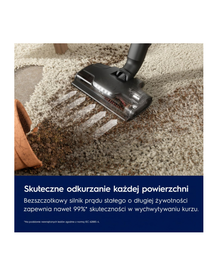 electrolux Odkurzacz pionowy Animal 800 EP82AB25UG główny