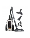 electrolux Odkurzacz bezworkowy Pure C9 PC91-ALRG - nr 9