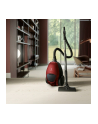 electrolux Odkurzacz workowy Pure D8 PD82-ANIMA SILENCE - nr 5