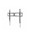 Uchwyt TV TB-851E do telewizora do 100 '' 65kg max VESA 800x600 - nr 1