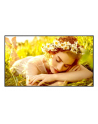 lg electronics Monitor wielkoformatowy 55UL5Q-E 500cd/m2 UHD 24/7 - nr 36
