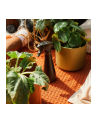 fiskars Opryskiwacz do nawilżania i czyszczenia Plant Care 1071306 - nr 2