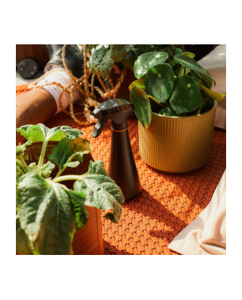 fiskars Opryskiwacz do nawilżania i czyszczenia Plant Care 1071306