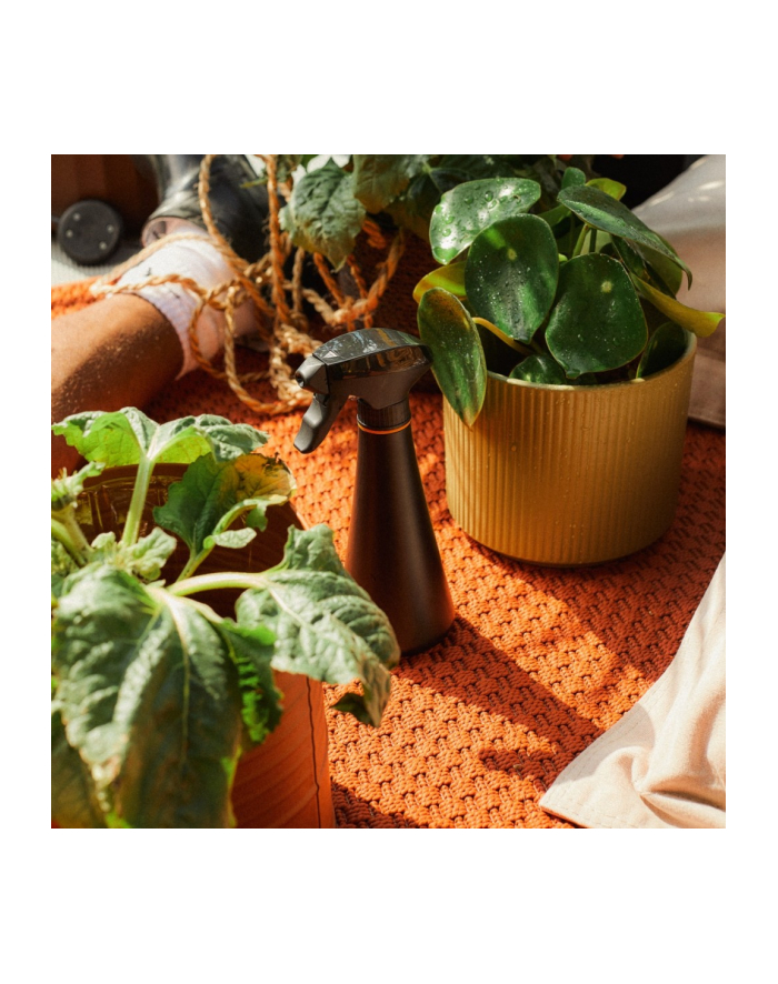 fiskars Opryskiwacz do nawilżania i czyszczenia Plant Care 1071306 główny