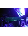 goodram Pamięć DDR5 CUDIMM 32GB(2*16) 6400 CL52 - nr 2