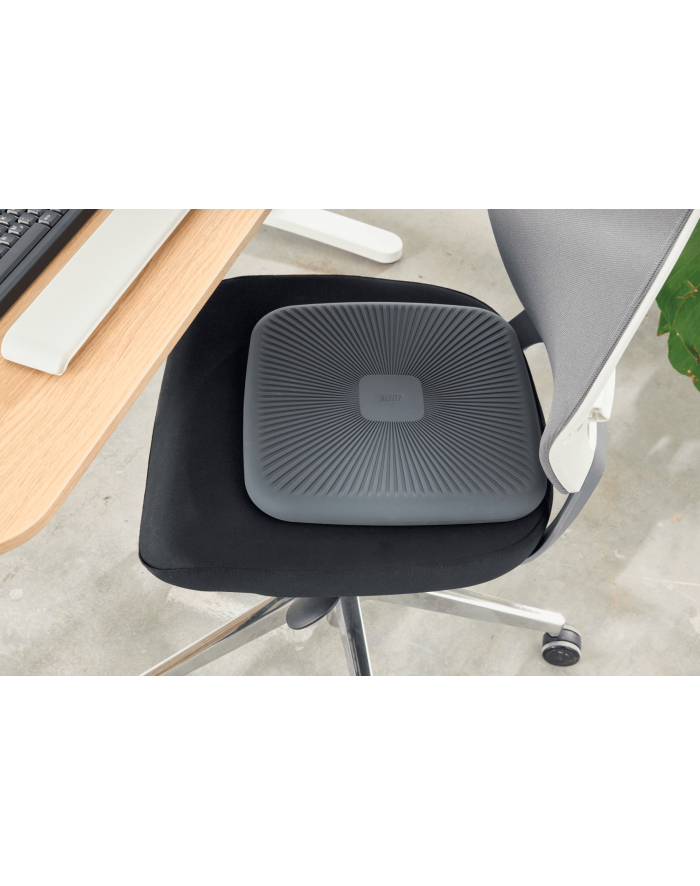 Leitz Poduszka balansująca Ergo, do aktywnego siedzenia, ciemnoszara (65390089) główny
