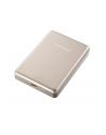 Intenso Powerbank Mw10000 Magsafe 10000 Mah Champagne S0245508 - nr 1