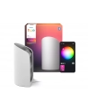 8720169339651 Hue Play wall washer PHILIPS HUE - nr 6