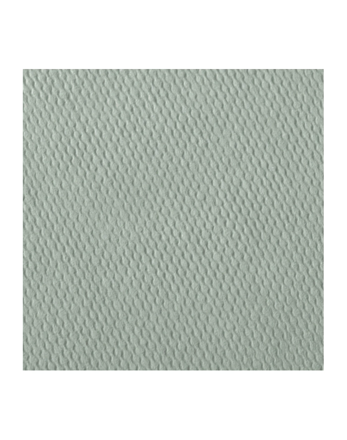 Hama  Fine Art  Spiral Salbei 24x17 50 czarnye Seiten    9869 główny