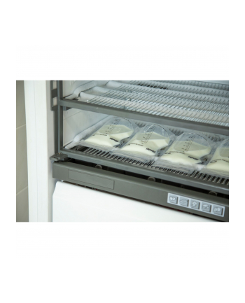 Alecto Torebka Na Mleko Matki 100Szt.  R. 220Ml