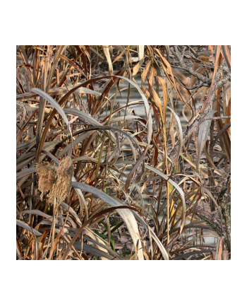 Buteo Photo Gear przeciwdeszczow pokrowiec do Falco Mark IV nr 1