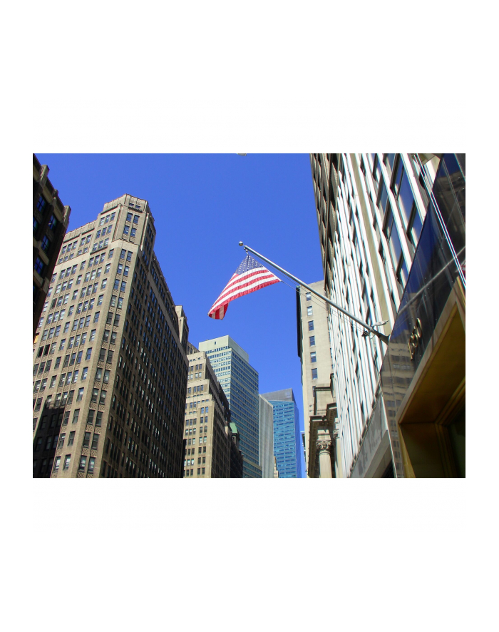 Yashica FX-D 100 główny