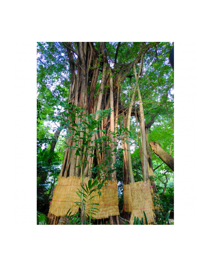 Yashica FX-D 300 główny