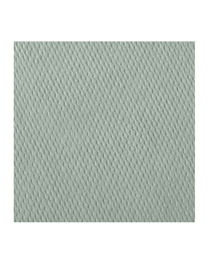 Hama  Fine Art  Spiral Salbei 36x32 50 czarnye Seiten    9871 główny