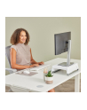 Fellowes Breyta bezowy podkladka pod nadgarstki 47 cm - nr 9