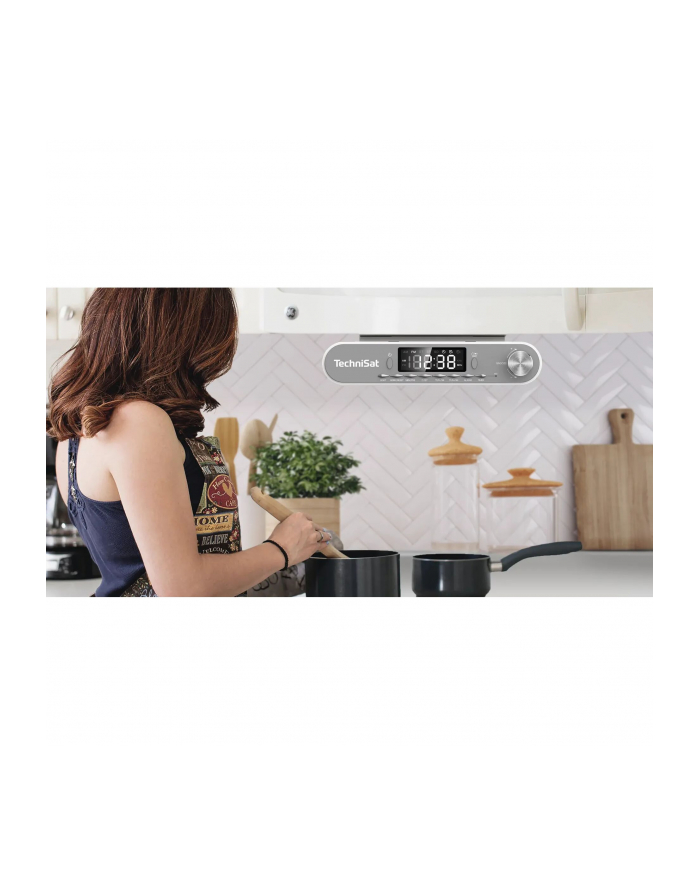 Technisat Viola srebrny główny