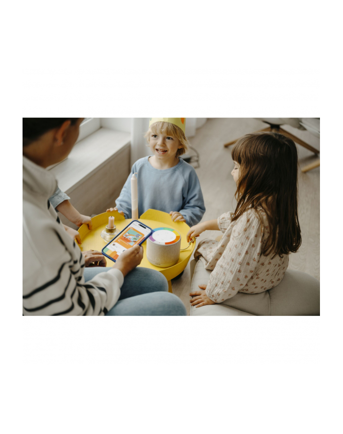 Głośnik Wilga Wobie Box G Szary 1Szt. główny