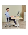 Fellowes Breyta szary podkladka pod nadgarstki 47 cm - nr 19
