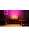 Philips Hue Play Wallwasher Doppelpack czarny - nr 9