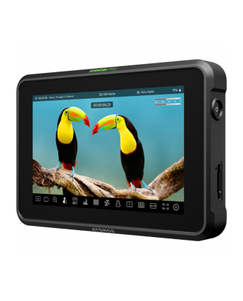Atomos Shinobi 7RX nr 1