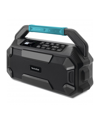 Technisat Viola 231 OD czarny nr 1