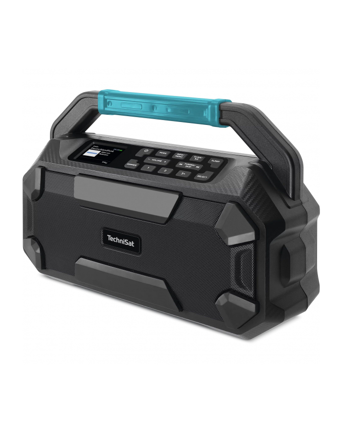 Technisat Viola 231 OD czarny główny