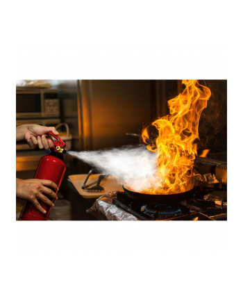 Alecto gasnica proszkowa 2 Kg