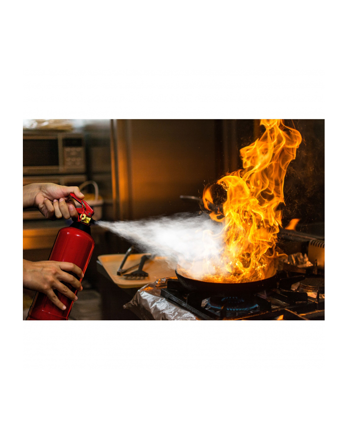 Alecto gasnica proszkowa 2 Kg główny