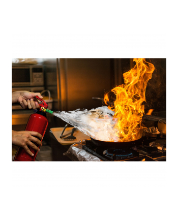 Alecto gasnica pianowa 2 litry