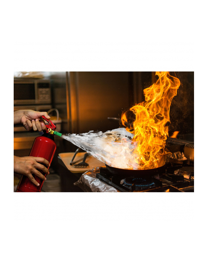 Alecto gasnica pianowa 2 litry główny