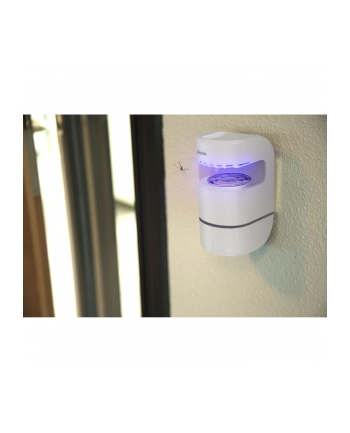 Alecto Lampa owadobójcza nr 1