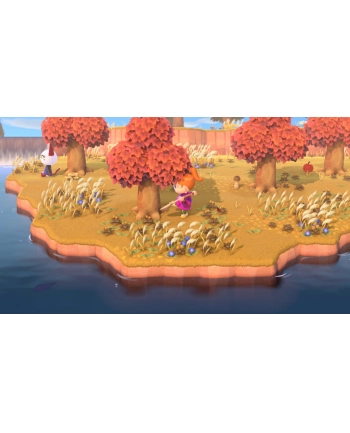 Nintendo Animal Crossing: New Horizons Switch 2 nr 2