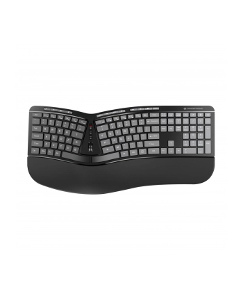 Conceptronic ORAZIO02US Ergnomische Tastatur- und Mysz