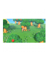 Nintendo Animal Crossing: New Horizons Switch 2 - nr 13
