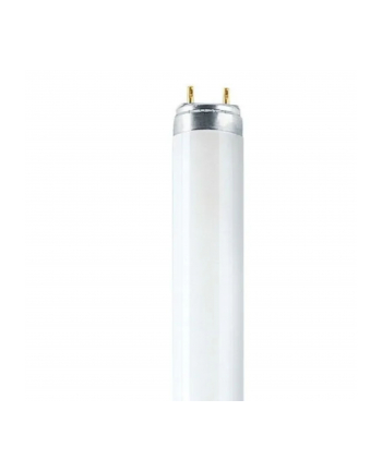 Osram Leuchtstoffröhre L T8 36W/840 G13 97 cm