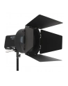 Amaran Fresnel dla Ray - nr 22