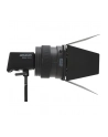 Amaran Fresnel dla Ray - nr 6