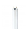 Osram Leuchtstoffröhre L T8 36W/840 G13 97 cm - nr 2