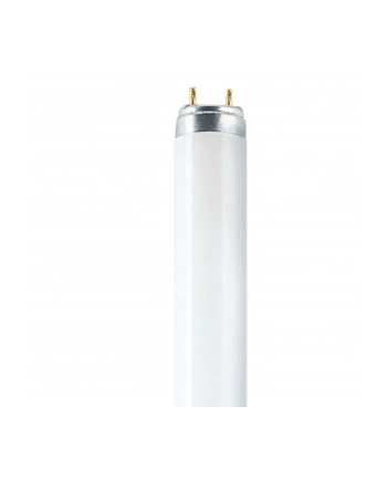 Osram Leuchtstoffröhre L T8 36W/840 G13 97 cm nr 2