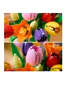 LEGO Botanicals 11501 Tulip Bouquet - nr 5