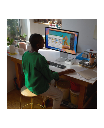 Apple Mac mini M4 2024 (silver, macOS)